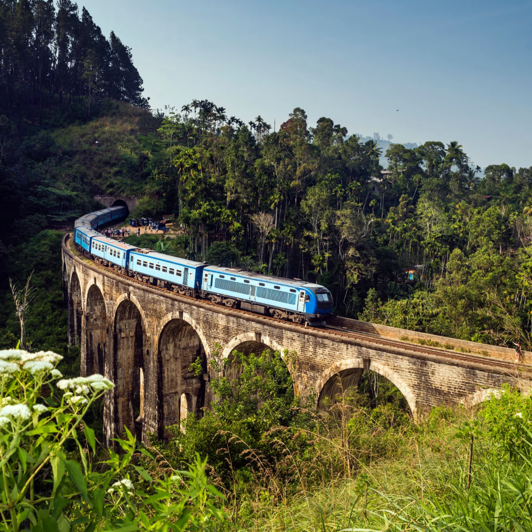 Photographie d'un train dans un paysage aux Sri Lanka