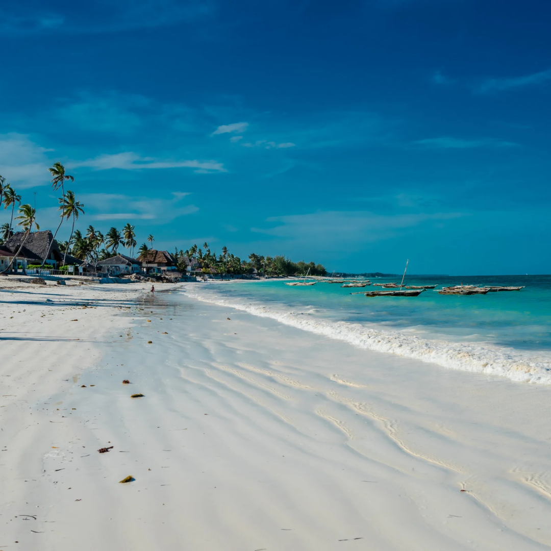 Photographie de paysage a Zanzibar