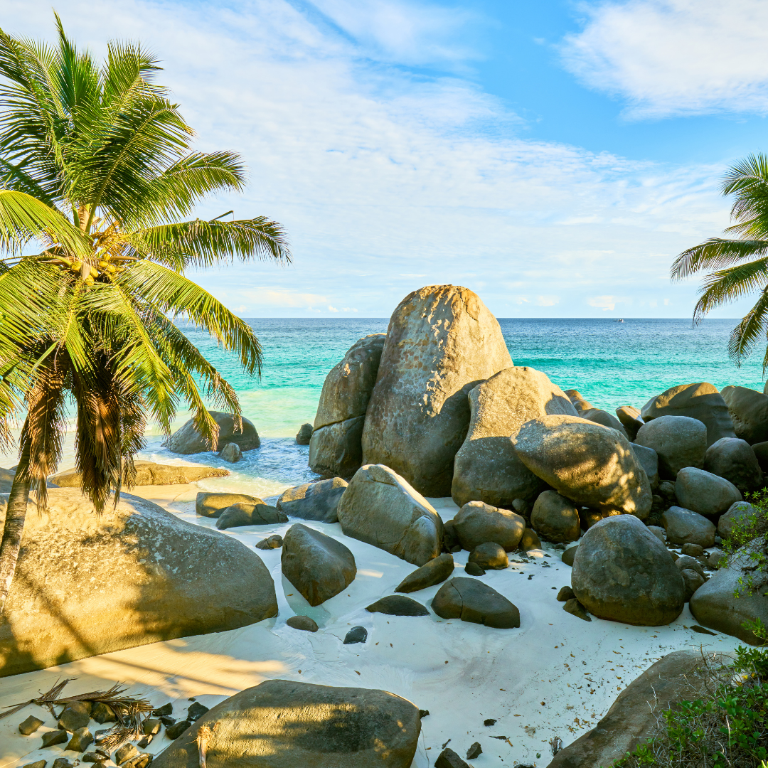 Photographie de paysage aux seychelles