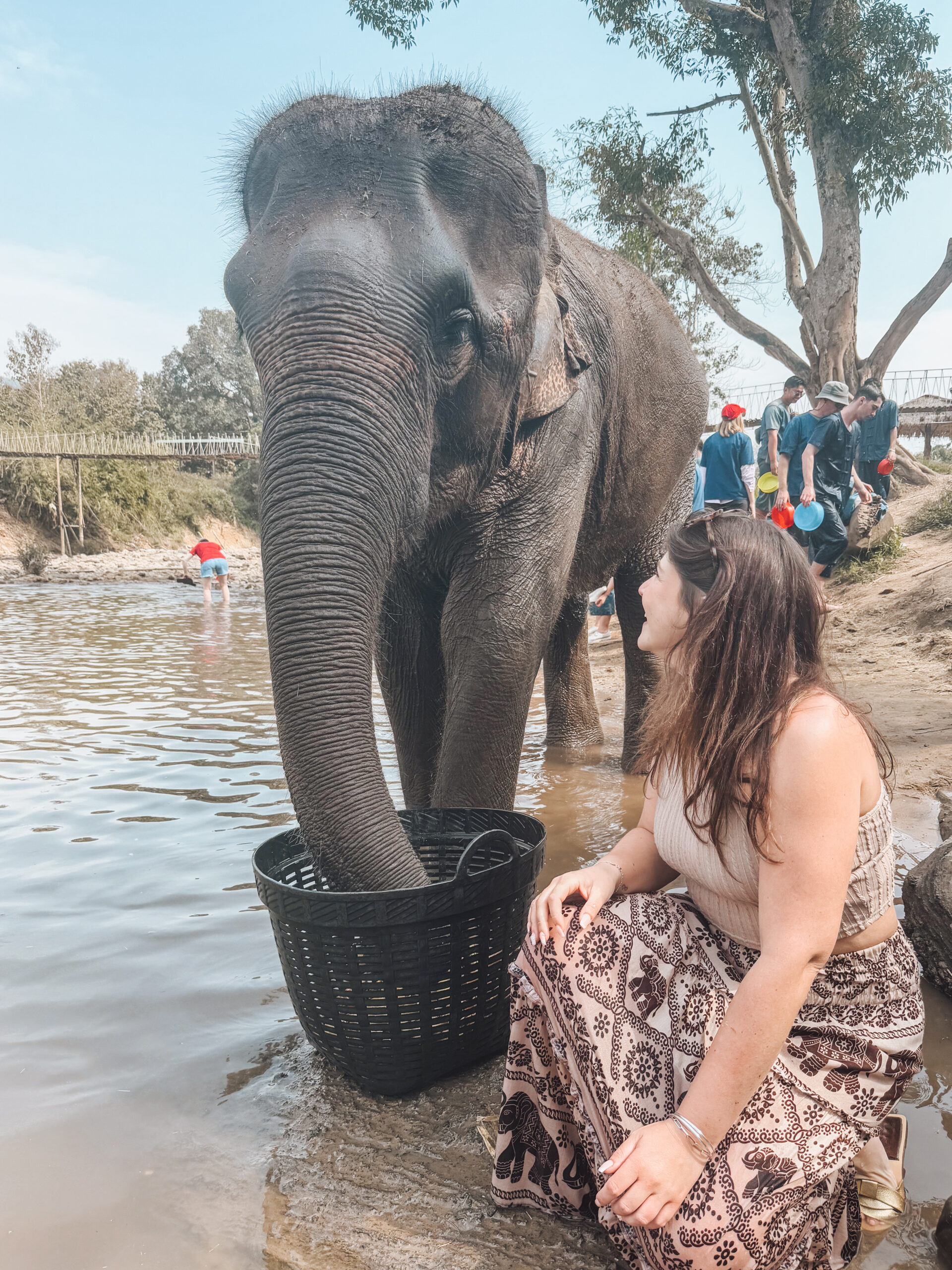 Manon la créatrice de Maui voyages avec les éléphant en Thaïlande