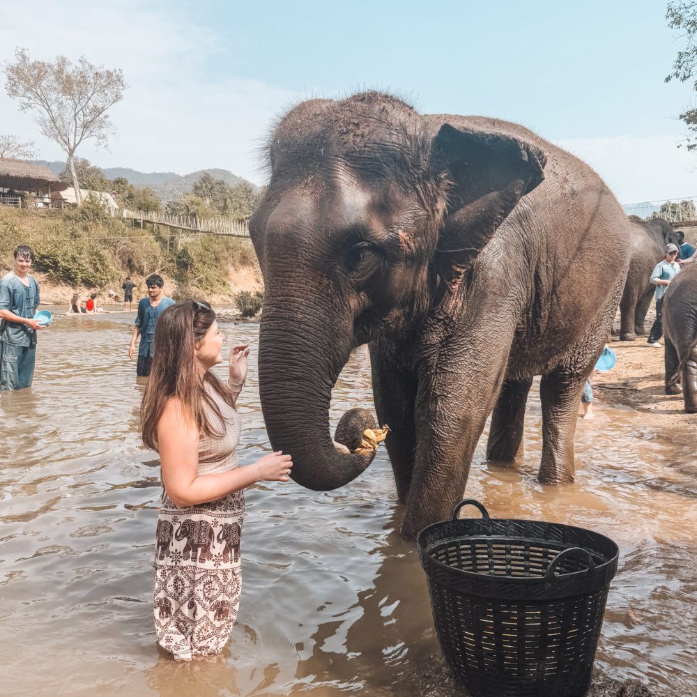 Manon la créatrice de Maui voyages à Chiang Mai